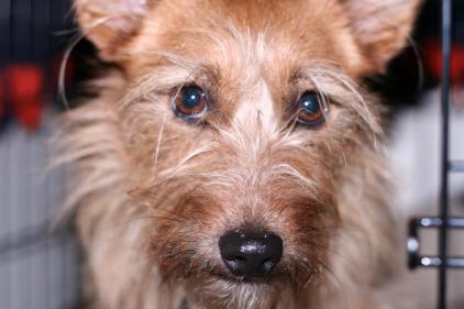 535981_992242017158_983589364_n