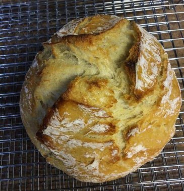 92823627_10103289784248068_2287588861334781952_n